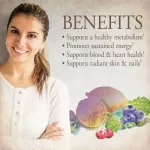 Garden of Life Mykind Organics Women's Once Daily Multivitamin 60 Vegan Tablets Vitamins for 60 women