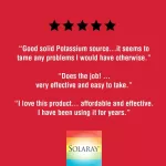 Solaray Potassium 99 mg 200 VegCaps โพแทสเซียม 200 เวจจี้แคปซูล