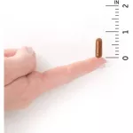 Garden of Life Vitamin Code RAW B-12 30 Vegan Capsules วิตามินบี 12 30 วีแกน แคปซูล