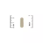 Nature's Way Kelp Whole Thallus 600 mg 180 Vegan Capsules สาหร่ายเคล์ป