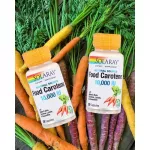 Solaray Food Carotene Natural Source 10,000 IU 30 Capsules วิตามินเอ และเบต้าแคโรทีน 30 แคปซูล