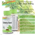 Solaray Celery Seed 505 mg 100 VegCaps คื่นช่ายฝรั่ง 100 เม็ด