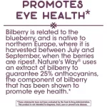 Nature's Way Bilberry 60 Vegan Capsules บิลเบอร์รี่ บำรุงสายตา 60 วีแกนแคปซูล