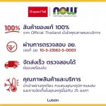 Now Foods, Lutein 10 mg 60 Capsules, "ลูทีนบำรุงดวงตา ป้องกันต้อหิน ต้อกระจก แสงสีฟ้าทำลายดวงตา"