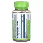 Solaray Celery Seed 505 mg 100 VegCaps คื่นช่ายฝรั่ง 100 เม็ด