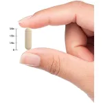 Nature's Truth Maca 1,600 mg 60 Quick Release Capsules มาคา 60 แคปซูล