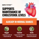 Simply potent Cholesterol Support ,60 Capsules NO.668