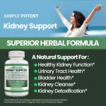 บำรุงการทำงานของระบบไต !!! Simply Potent Kidney Support , 60 Vegetarian Capsules No.676
