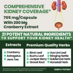 บำรุงการทำงานของระบบไต !!! Simply Potent Kidney Support , 60 Vegetarian Capsules No.676