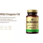 Solgar Wild Oregano Oil 60 Softgels น้ำมันออริกาโน่สกัด 60 ซอฟท์เจล
