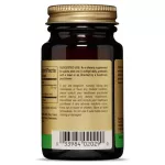 Solgar Wild Oregano Oil 60 Softgels น้ำมันออริกาโน่สกัด 60 ซอฟท์เจล