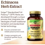 Solgar Echinacea Herb Extract 60 Vegetable Capsules เอ็คไคนาเซีย 60 เวจจี้แคปซูล