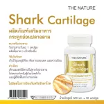 กระดูกอ่อนปลาฉลาม เดอะเนเจอร์ x 1 ขวด เดอะ เนเจอร์ Shark Cartilage THE NATURE ปวดข้อ ปวดเข่า