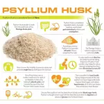 21st Century Psyllium Fiber 160 Capsules.