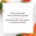 Natural Factors Apple Cider Vinegar 500 mg 180 Capsules Apple Cider Veni Gar 180 capsule