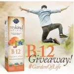 Garden of Life MyKind Organics B-12 Organic Spray Raspberry 58 ml วิตามินบี 12 แบบสเปรย์ รสราสป์เบอร์รี่