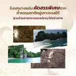 MVMALL BONBACK, 100% prefabricated bird's nest drink from natural caves 6 pack of gravel sugar formula