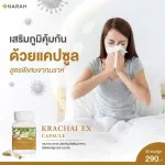 NARAH KRACHAI EX นราห์ กระชาย เอกซ์ กระชายขาวสกัด สูตรเข้มข้น ขนาด 30 แคปซูล เสริมภูมิคุ้มกันด้วยแคปซูลจากนราห์