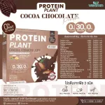 Protein Plants โปรตีน แพลนท์ โกโก้ ช็อกโกเล็ต จากพืช 3 ชนิด ออแกร์นิค โปรตีนจากข้าว ถั่วลันเตา มันฝรั่ง ปรุงสำเร็จชนิดผง 1 กล่อง 7 ซอง 350 กรัม