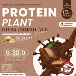 Protein Plants โปรตีน แพลนท์ โกโก้ ช็อกโกเล็ต จากพืช 3 ชนิด ออแกร์นิค โปรตีนจากข้าว ถั่วลันเตา มันฝรั่ง ปรุงสำเร็จชนิดผง 1 กล่อง 7 ซอง 350 กรัม