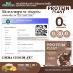 Protein Plants โปรตีน แพลนท์ โกโก้ ช็อกโกเล็ต จากพืช 3 ชนิด ออแกร์นิค โปรตีนจากข้าว ถั่วลันเตา มันฝรั่ง ปรุงสำเร็จชนิดผง 1 กล่อง 7 ซอง 350 กรัม