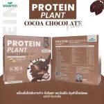 Protein Plants โปรตีน แพลนท์ โกโก้ ช็อกโกเล็ต จากพืช 3 ชนิด ออแกร์นิค โปรตีนจากข้าว ถั่วลันเตา มันฝรั่ง ปรุงสำเร็จชนิดผง 1 กล่อง 7 ซอง 350 กรัม
