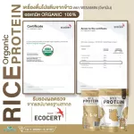 Organic Rice Protein 100% organic rice protein free GMO free of gluten protein, 1 bag, 1,000 grams, can be eaten by 33 times.