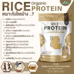Organic Rice Protein 100% organic rice protein free GMO free of gluten protein, 1 bag, 1,000 grams, can be eaten by 33 times.