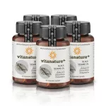 Vitanature+ Black Sesame Oil Dietary Supplement Black sesame oil mixed with sesame oil