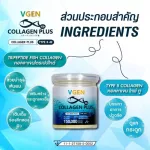 VGEN COLLAGEN PLUS TIPEPTIDE TYPE2 & 3 Vinee Collagen Plus Tripen Type 2 & 3 Jar 150 grams Collagenplus