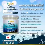 VGEN COLLAGEN PLUS TIPEPTIDE TYPE2 & 3 Vinee Collagen Plus Tripen Type 2 & 3 Jar 150 grams Collagenplus