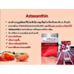 Astaxanthin Giffarine Red Algae, Astaxanthin Giffarine Antioxidant Skin younger than age