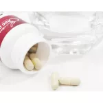 Crocked Complex Crocodile Blood Certificate