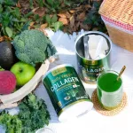 คอลลาเจนผัก ที่ดีที่สุด ยูมิโก๊ะ  พรีเมี่ยมที่สุด นำเข้าจากประเทศญี่ปุ่น