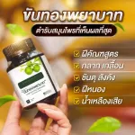 ฝีคัณฑสูตร ปวดเข่า ริดสีดวง สั่งซื้อ 2 กระปุก ฟรี 1 รวมส่ง!!! ขันทองพยาบาท + กระชายสกัด 1กระปุก30 แคปซูล / ขันทอง 1กระปุก50เม็ด ส่งฟรี !!