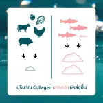 Amelene Plus+ Hydrolyzed Collagen 100 g.