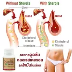 Phytosterol Capsule ผลิตภัณฑ์เสริมอาหาร ไฟโตสเตอรอล ลดคอเลสเตอรอลชนิดเลว LDL ป้องกันการเกิดโรคหัวใจ ช่วยเรื่องความดัน