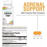 Adrynal Caps 60 Vegcaps Solaray®