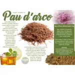 Paudip Pau D 'Arco Inner Bark 1090 MG 180 Veg Capsules Nature's Way®