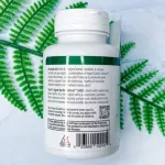 กระเทียมสกัด Aged Garlic Extract Candida Cleanse & Digestion Formula 102, 100 Vegetarian Caps Kyolic®