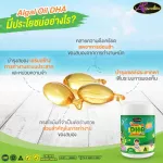 Special set DHA Chew 60 Capsules, Calcium Chew, Colostrum Price 1,690 baht