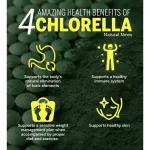 สาหร่ายคลอเรลล่า Natural Chlorella 500 mg 120 Tablets Puritan's Pride®