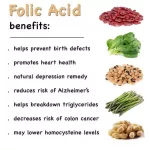 Folate 666MCG DFE Folic Acid 400 MCG 250 Tablets Puritan's Pride®