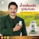 เสริมภูมิคุ้มกัน Exพลูคาว 4 แถม 10 พลูคาว สมุนไพร ป้องกันไวรัส แบคทีเรีย พลูคาวสกัด แก้ภูมิแพ้ หืดหอบ น้ำเหลืองเสีย ส่งฟรี