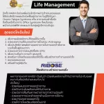 Now Foods, NADH 10 mg, 60 Veg Capsules "Cell aging Increase brain efficiency "