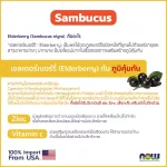 Now Foods, Sambucus Zinc-C 60 Lozenges "แซมบูคัส เพิ่มภูมิคุ้มกัน ยับยั้งเชื้อไวรัส แบคทีเรีย ต้านการติดเชื้อ "