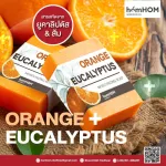 ORANGE+EUCALYPTUS SOAP สบู่สารสกัดจากยูคาลิปตัส& ส้ม? ? ลดแบคทีเรีย เพิ่มวิตามินซี - 1 ก้อน