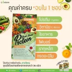 Charnn Plant Based Protein, 100% protein supplement, with 36 extracts ❌ Cow's milk ❌ Soybean ❌ cholesterol ❌ Fat