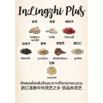 In Lin Chu Plus, dietary supplement