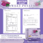 Protein Plants โปรตีน แพลนท์ รสมันเทศ สีม่วง จากพืช 3 ชนิด ออแกร์นิค โปรตีนจากข้าว ถั่วลันเตา มันฝรั่ง ปรุงสำเร็จชนิดผง 1 กล่อง 7 ซอง 350 กรัม